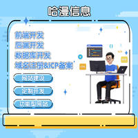 網站二次開發 高效修復Bug與增強功能，提供一站式信息技術咨詢服務