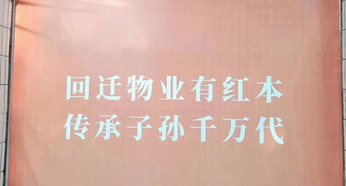 深圳遍地“咚咚咚” 挖掘機(jī)聲為何成了“新特產(chǎn)”？